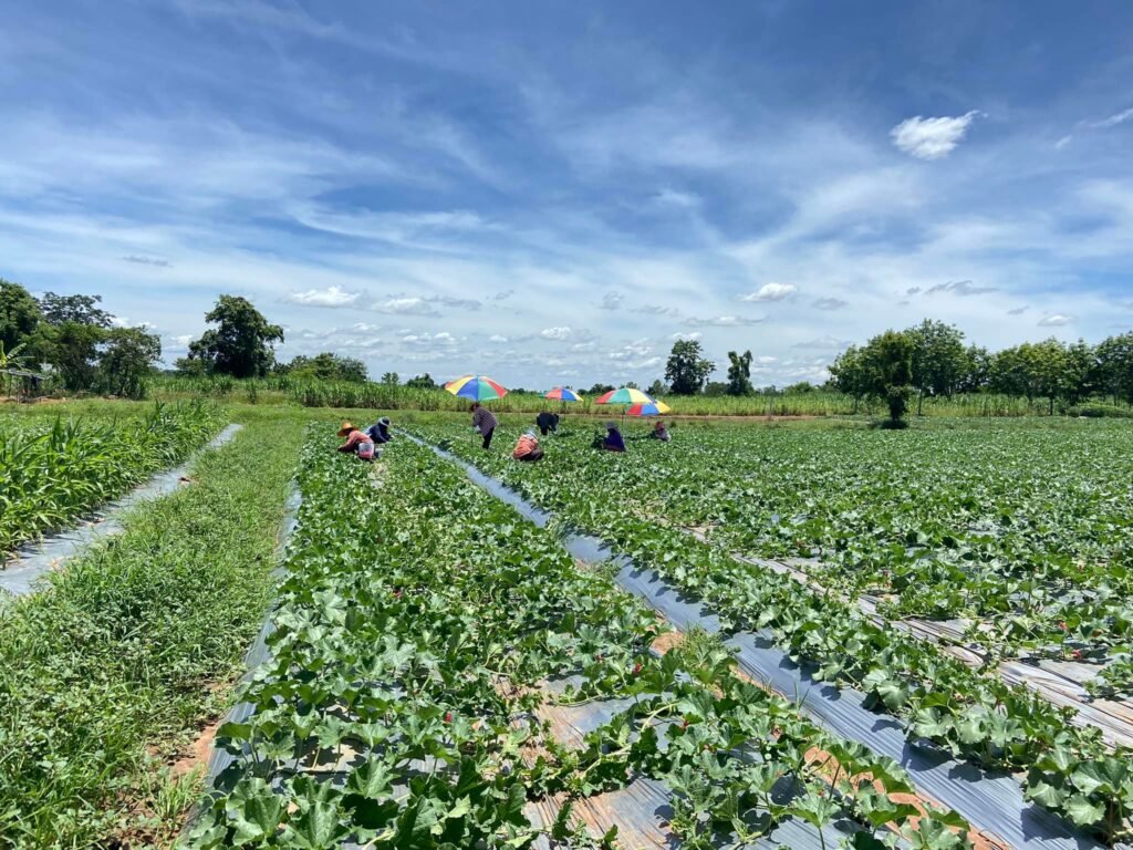 469458804 561019163306918 6218933961971156872 n 1024x768