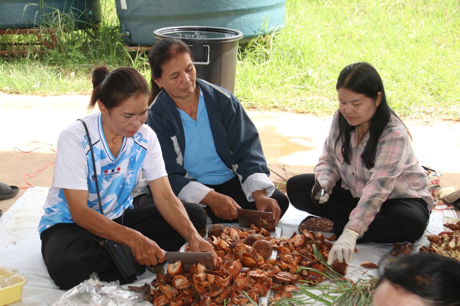 484656249 657729530342909 206254466911629809 n