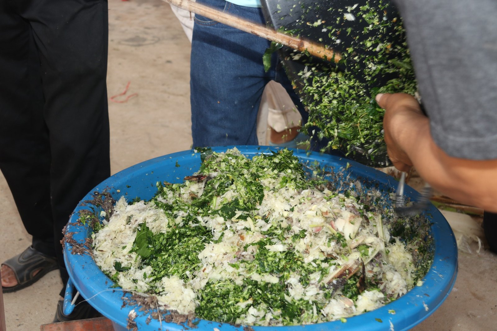 484719351 657729393676256 1019016034480515806 n