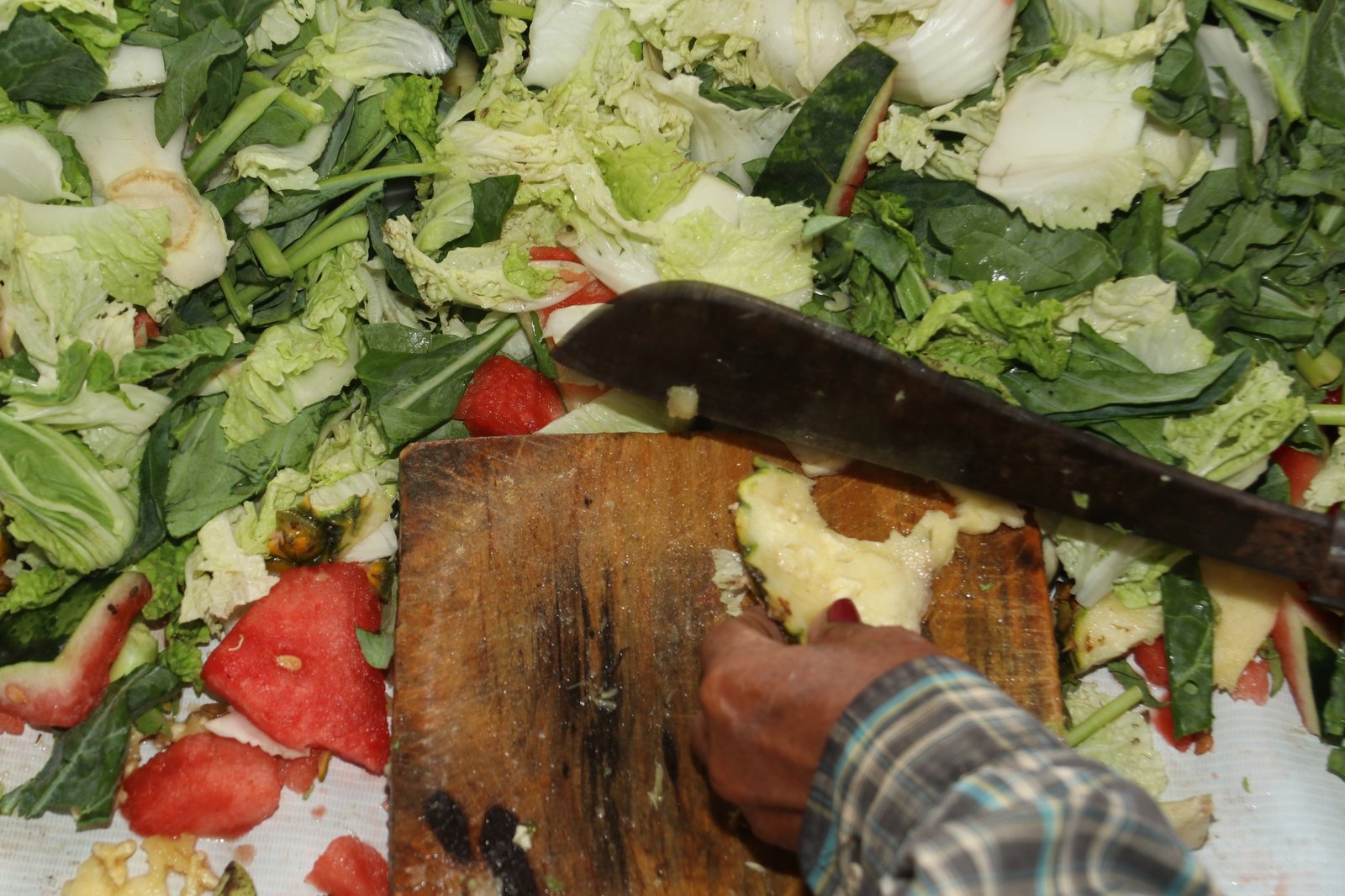 485045014 657729533676242 3941945851871365614 n